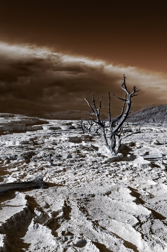 The Apocalypse of the Last Worlds