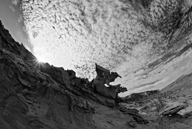 The Predator of Darkness