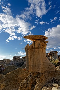 The Master King Eagle​