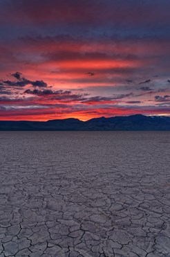 The Last Blaze​​