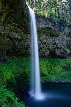 The White Angel of the Deep Forest