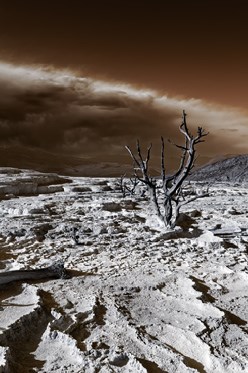 The Apocalypse of the Last Worlds