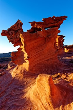 The Animal of Darkness