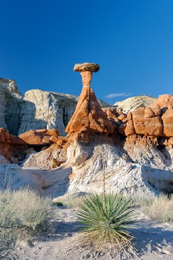 Guardian of the Temple
